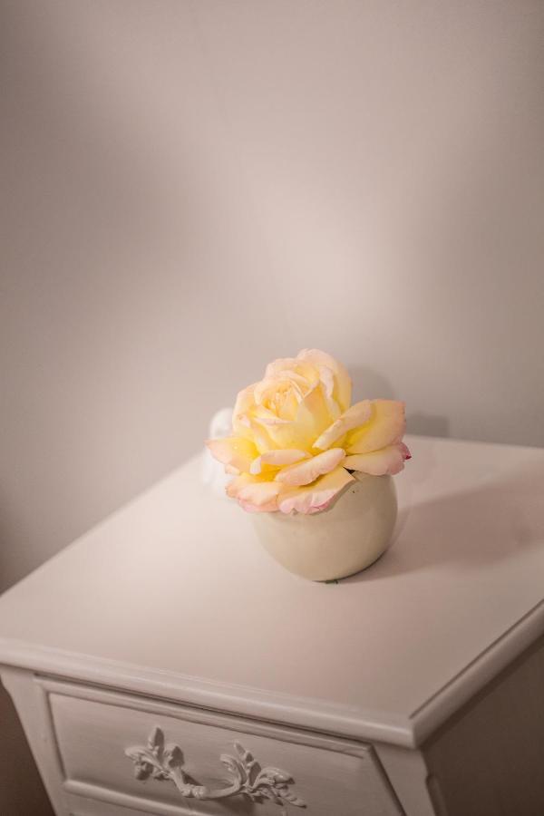 Entre Canal Et Vignes Bed & Breakfast Escolives-Sainte-Camille ภายนอก รูปภาพ