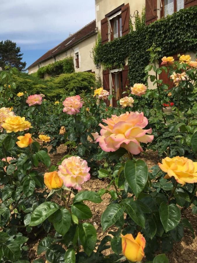 Entre Canal Et Vignes Bed & Breakfast Escolives-Sainte-Camille ภายนอก รูปภาพ